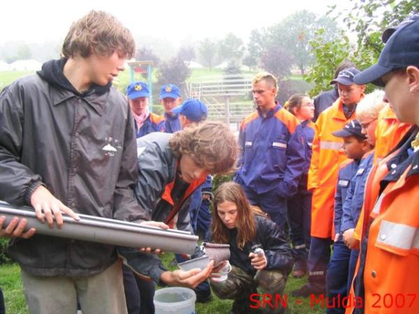 img00002.jpg